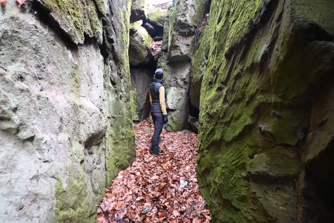 A Kis-Szilvás-kő teteje és sziklahasadéka – Fotó: Tenczer Gábor / Telex