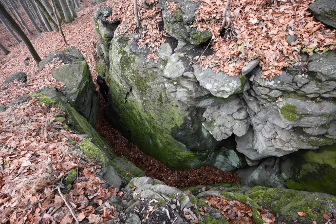 A Kis-Szilvás-kő teteje és sziklahasadéka – Fotó: Tenczer Gábor / Telex