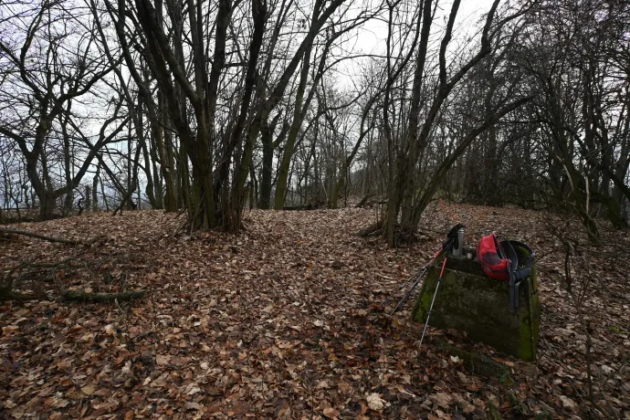 A Szilvás-kő teteje és sziklahasadéka – Fotó: Tenczer Gábor / Telex