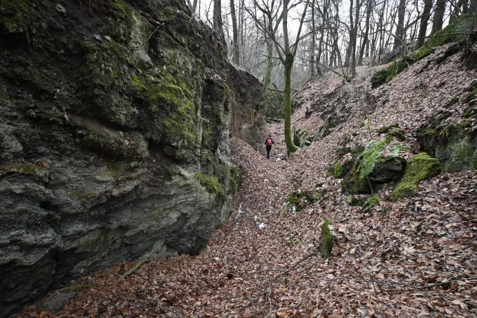 A Szilvás-kő teteje és sziklahasadéka – Fotó: Tenczer Gábor / Telex