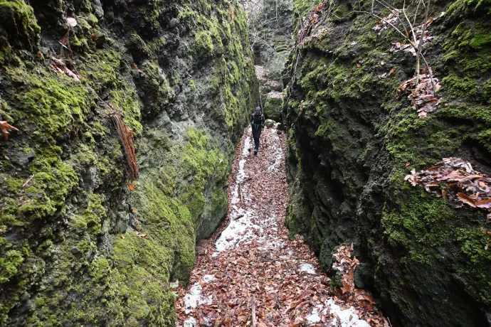 A Szilvás-kő teteje és sziklahasadéka – Fotó: Tenczer Gábor / Telex