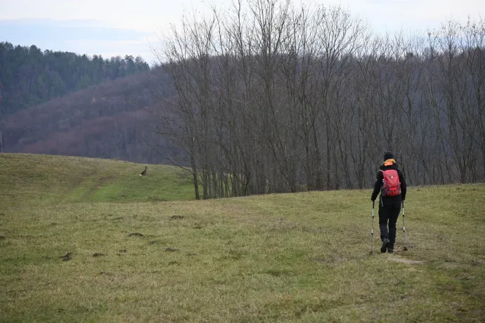 A Szilvás, Bárna és a Szér-kő – Fotó: Tenczer Gábor / Telex