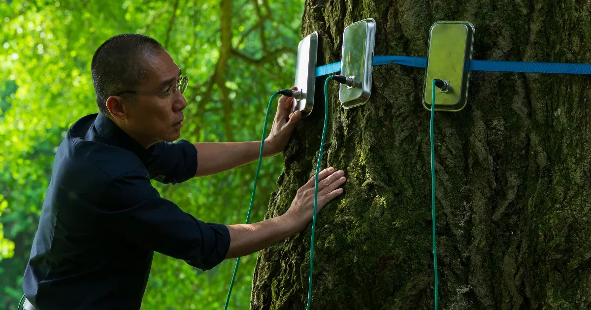 Itt a zöld az úr, mi maximum vendégek lehetünk