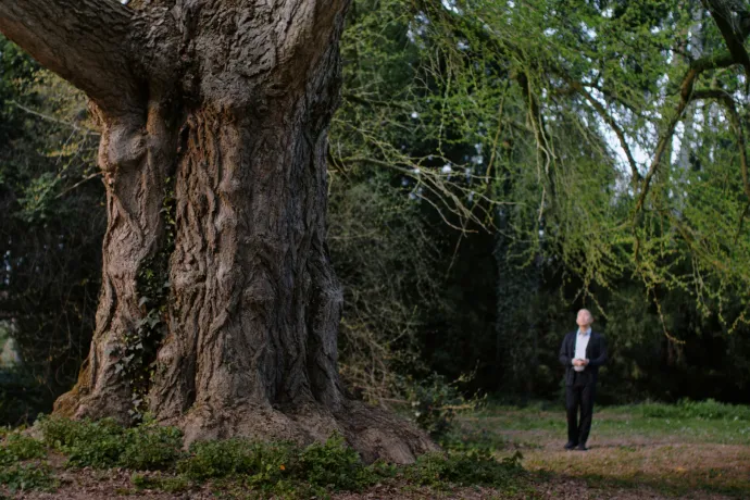Itt a zöld az úr, mi maximum vendégek lehetünk