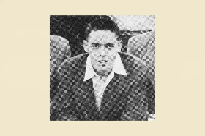 Thomas Pynchon: Ellenfényben (részlet)