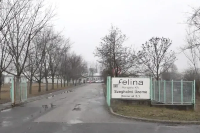 Hetek óta nem kapják meg bérüket az évek óta veszteséges Felina dolgozói