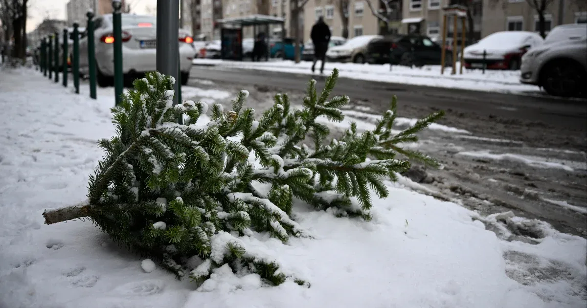 Nem lesz népszavazás a december 24-i munkanapról, a szkíták viszont megint reménykedhetnek
