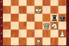 Sakkfeladvány a Telexen: a felfedett sakk, ami gyilkos erejű