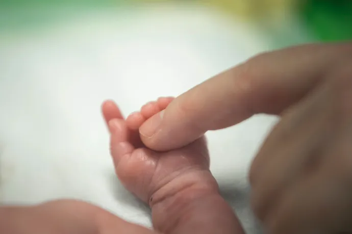 Number of births in Hungary at lowest since 1949