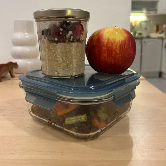 Julcsi így vitt magával ebédet az irodába – Fotó: Lerch Júlia / Telex