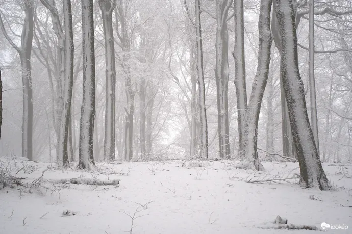 Itt a kettős front, ráadásul hétfőig a napot se látjuk