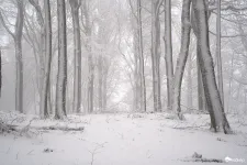 Itt a kettős front, ráadásul hétfőig a napot se látjuk