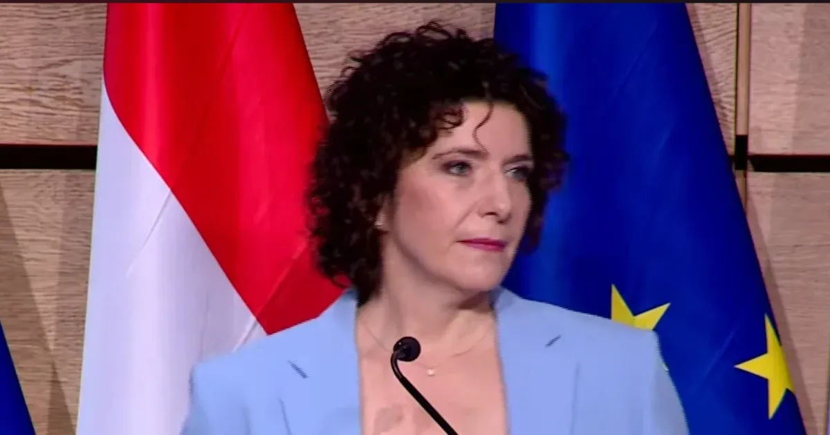 Dobrev Klára a határon túli magyarok szavazati jogának elvételével egyesítené a nemzetet