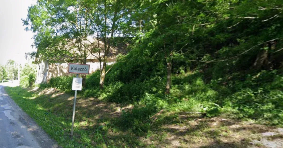 Véget ért a kalaznói választási izgalom, a korábbi polgármester nyerte az időközi választást