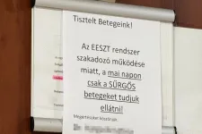 Elindult az Otthoni Energiatároló Program pályázata, le is halt a rendszer, akadozik az EESZT is