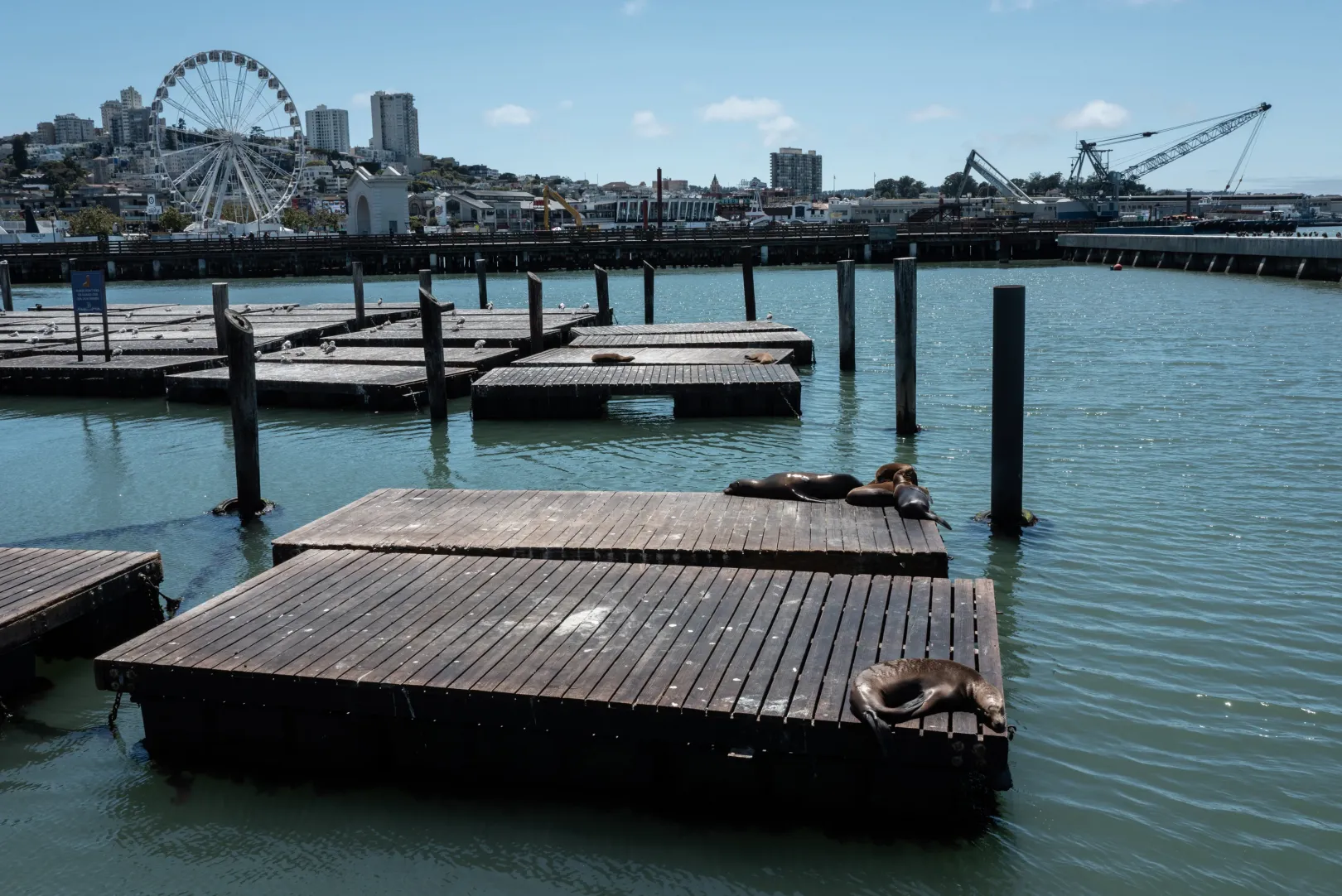 Kilátás a 39-es mólóról, San Franciscóban – Bődey János / Telex