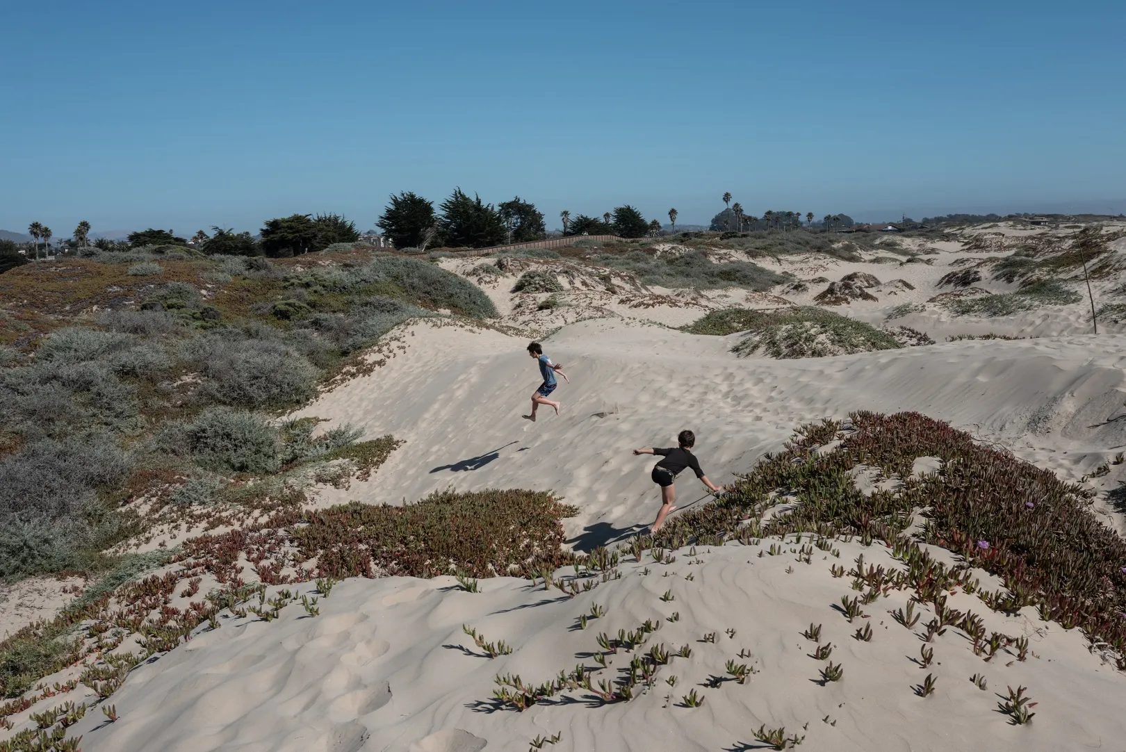 Pismo Beach – Fotó: Bődey János / Telex