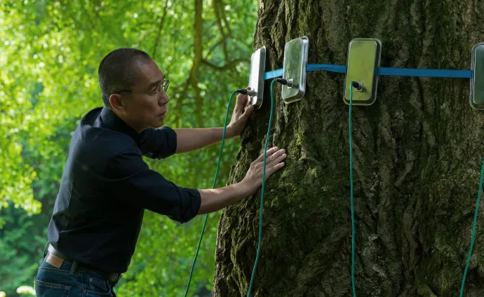 Jelenet a Csendes barát című filmből – Fotó: Mozinet