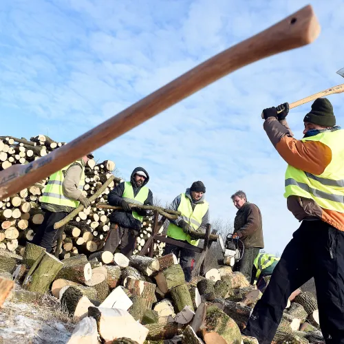 Tényleg a romák adják a munkaerőpiac belső tartalékát?