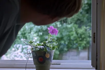 A muskátlid „lát téged”, de nem fogja kinyitni neked a kertkaput