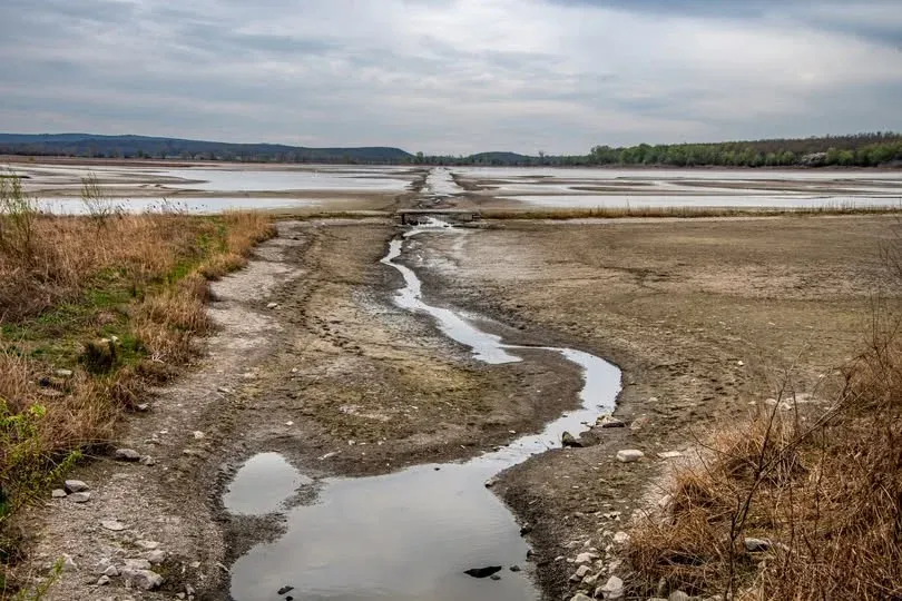 Kiderült, mi áll a Pátkai-víztározó vízminőségének drasztikus romlása mögött