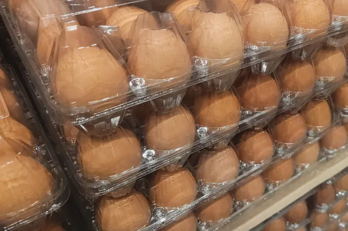 A Semmelweis szerint jelentős pluszterhet ró a vesére, ha túl sok fehérjét eszünk