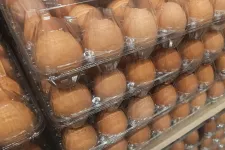 A Semmelweis szerint jelentős pluszterhet ró a vesére, ha túl sok fehérjét eszünk