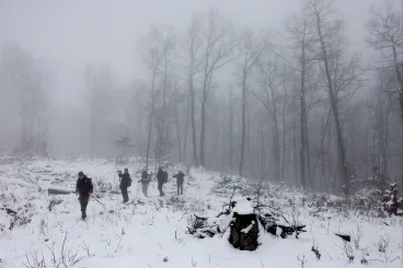 Körös-körül lombkorona – ígéri a tanösvény, aztán szembejön a letarolt erdő