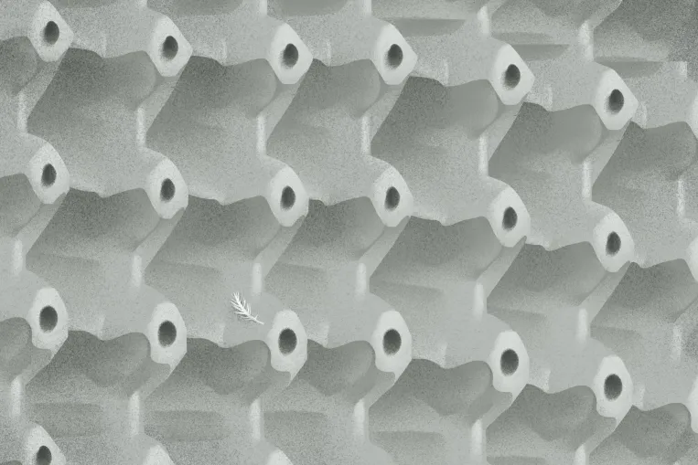 Vass Norbert: California Über Alles