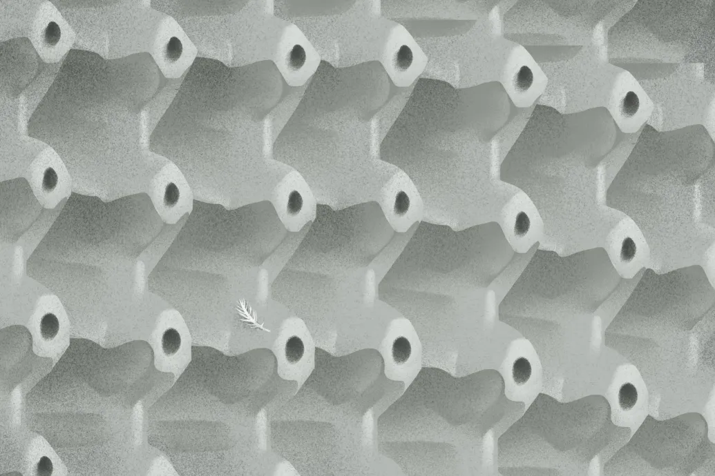 Vass Norbert: California Über Alles