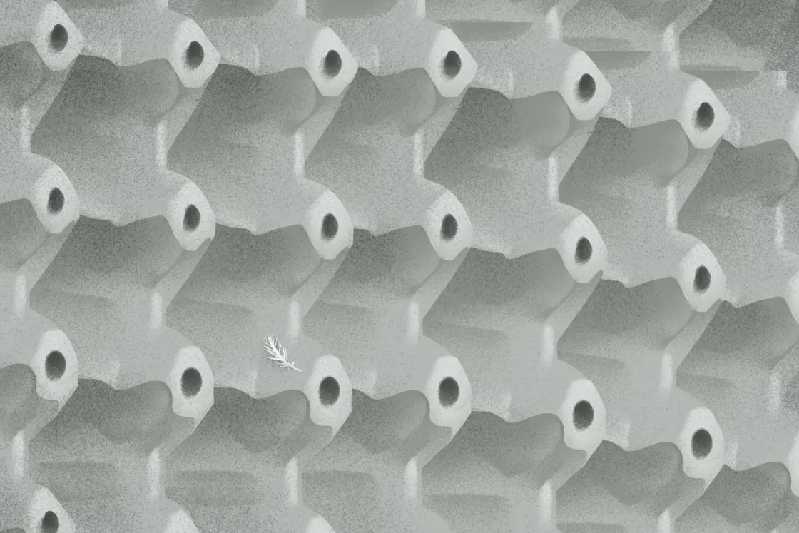 Vass Norbert: California Über Alles