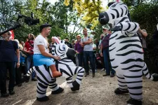 Vádat emeltek a Pécs Pride zebrajelmezes felvonulójára támadó férfi ellen