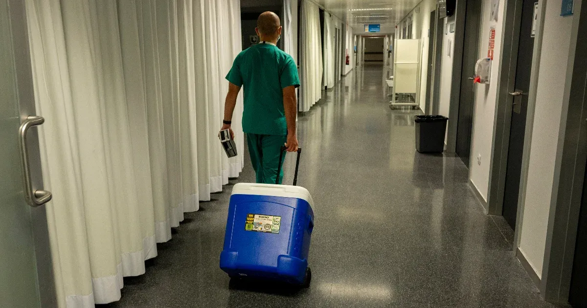 Súlyos hiba: rosszul hűtött szív miatt hiúsult meg egy kétéves nápolyi kisfiú szívátültetése