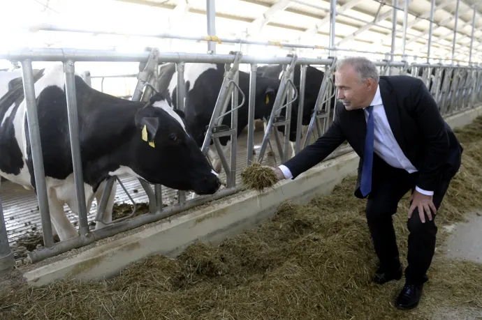 Állami támogatással próbálják egyenesbe hozni a tejpiaci válságban érintett magyar termelőket