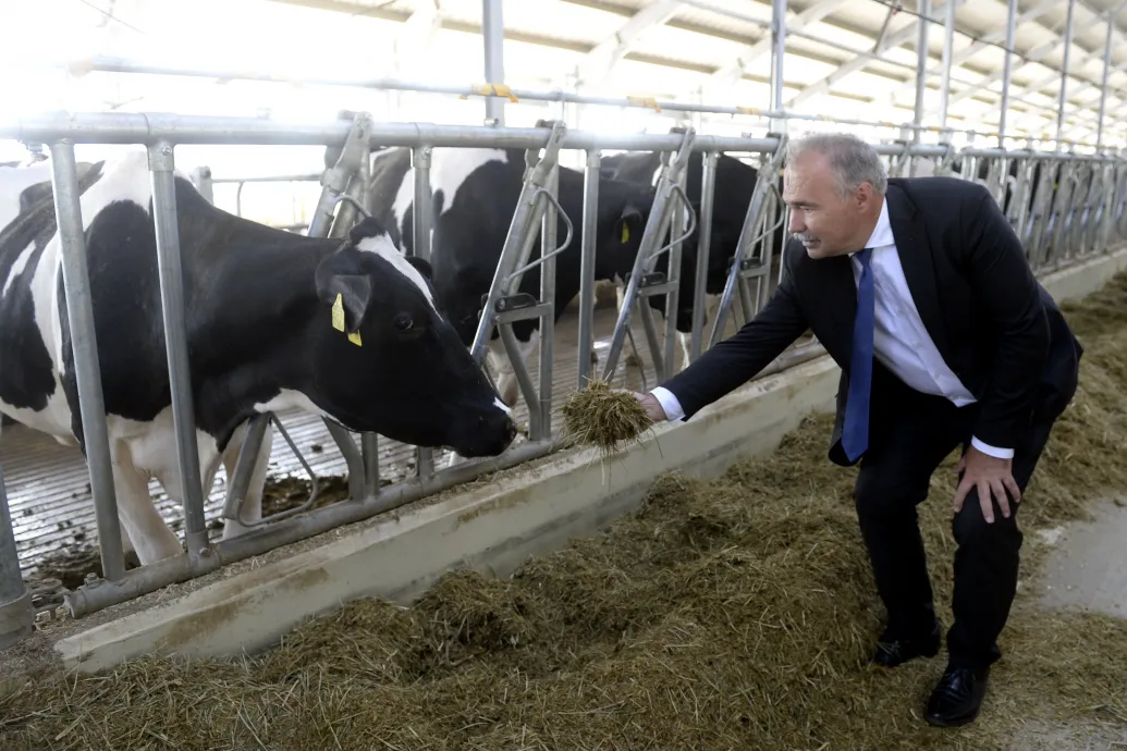 Állami támogatással próbálják egyenesbe hozni a tejpiaci válságban érintett magyar termelőket