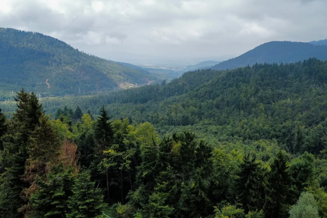 Egy szektavezér akciójától állami összeesküvésig terjednek a találgatások a Twin Peakshez hasonlított bolgár ügyben