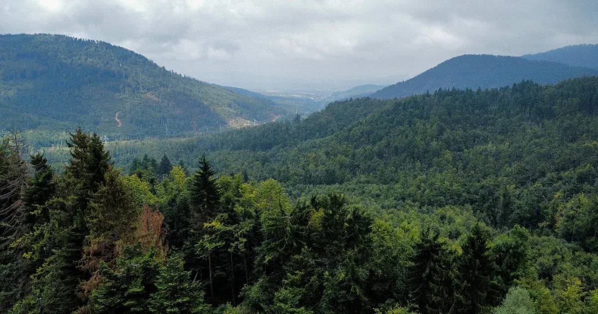 Egy szektavezér akciójától állami összeesküvésig terjednek a találgatások a Twin Peakshez hasonlított bolgár ügyben