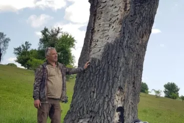 „Nem veszek részt a közbirtokosság felszámolásában” – a magas adók miatt lemondana a szervezet sepsiszentgyörgyi elnöke