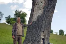 „Nem veszek részt a közbirtokosság felszámolásában” – a magas adók miatt lemondana a szervezet sepsiszentgyörgyi elnöke