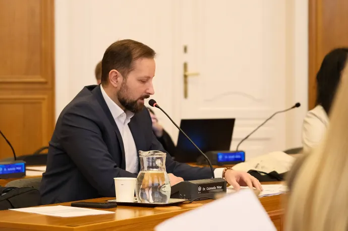 Csizmadia Péter, a pécsi Fidesz frakcióvezetője – Fotó: Gűth Ervin / Telex