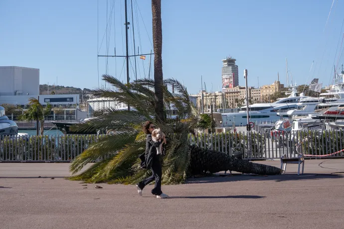 Marseille és Barcelona február 12-én, – Fotó: Thibaud Moritz / AFP, Manaure Quintero / AFP