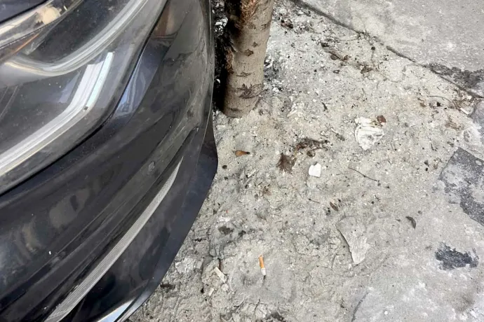 Mintha felnevelnének egy elitiskolában, aztán elküldenének Guantánamóra