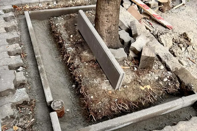 Ilyen körülmények között nem csoda, ha nem bírják ki a fák – Fotó: Bardóczi Sándor / Fővárosi Önkormányzat