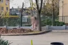 Távoltartást rendeltek el a szülőkkel szemben, akik pucéran akarták kiűzni az ördögöt a kislányukból