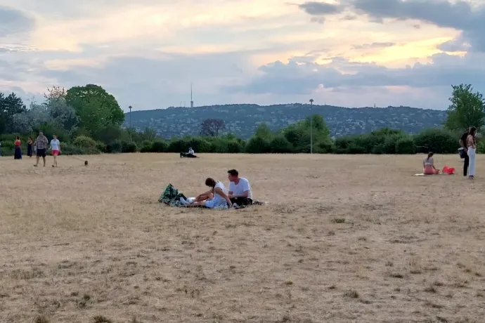 Országszerte azzal kísérleteznek, hogyan lehetne kicselezni a klímaváltozást