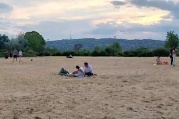 Országszerte azzal kísérleteznek, hogyan lehetne kicselezni a klímaváltozást