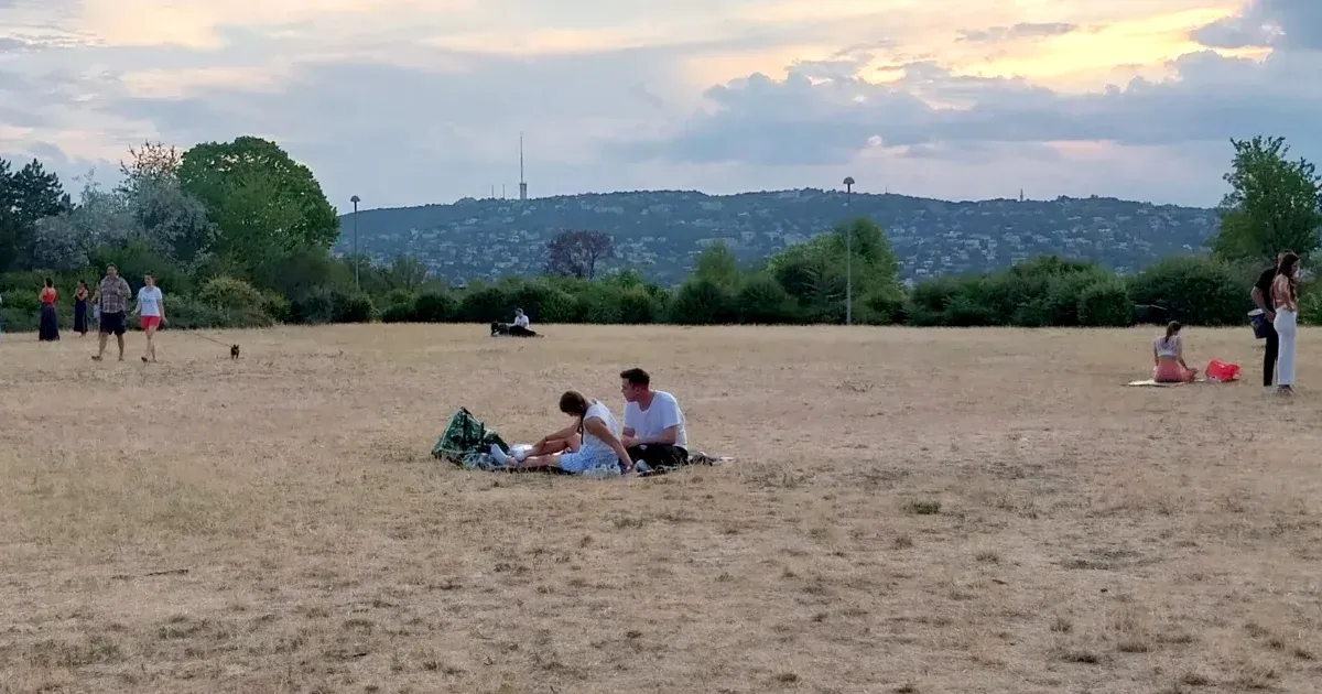 Országszerte azzal kísérleteznek, hogyan lehetne kicselezni a klímaváltozást