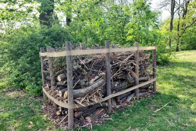 Természetes rovarhotel és holtfa a Gellért-hegyen – Fotó: Thüringer Barbara / Telex