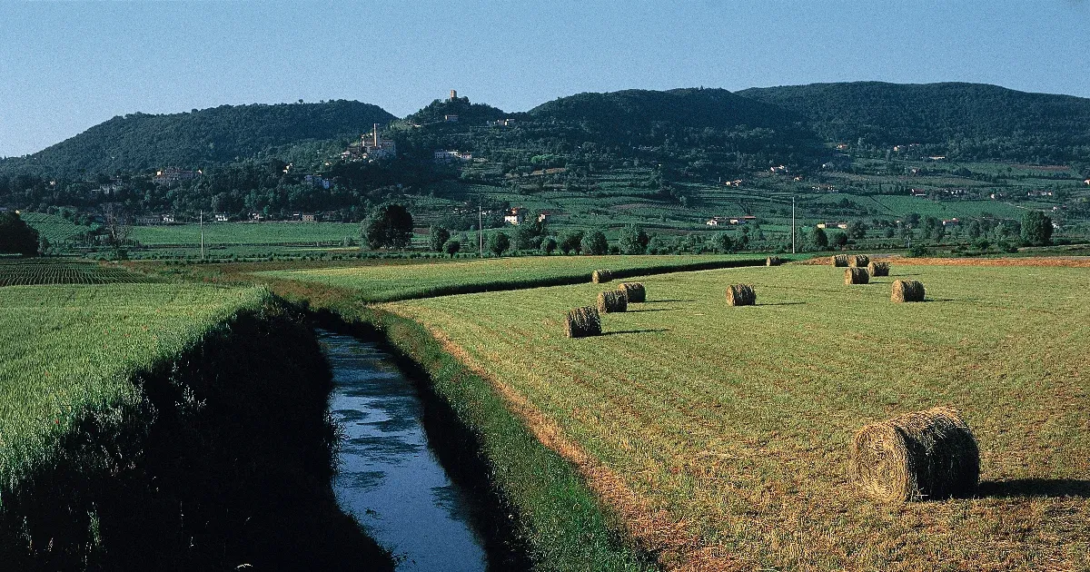 „Szagértékelőket” toboroz a polgármester, miután kellemetlen szagok lepték el az olasz kisvárost
