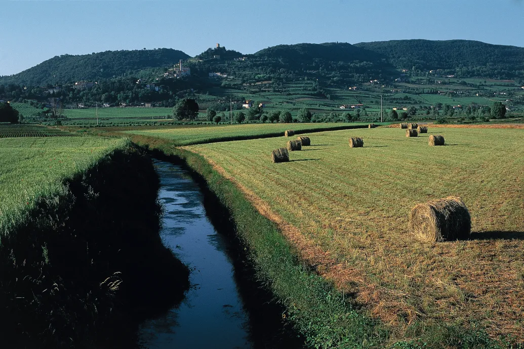 „Szagértékelőket” toboroz a polgármester, miután kellemetlen szagok lepték el az olasz kisvárost